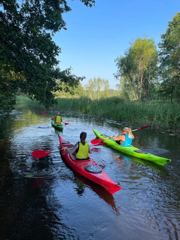 whatsapp image 2026-03-04 at 15.26.22